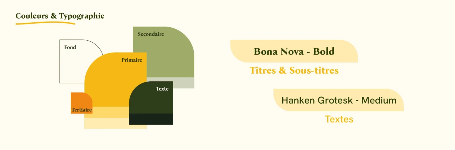 Palette de couleurs et typographies de l'identité visuelle du Gincoq